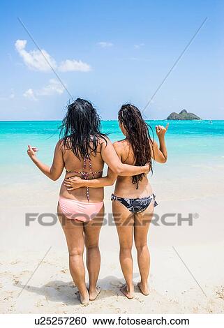 Rear view of two young women wearing bikinis on Lanikai Beach, Oahu, Hawaii, USA View Large Photo Image Stock Image - Rear view of two young women wearing bikinis on Lanikai Beach, Oahu, Hawaii, USA. Fotosearch