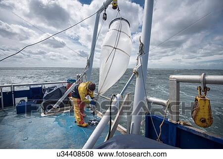 Scientist preparing plankton net on research ship View Large Photo Image Stock Photo - Scientist preparing plankton net on research ship. Fotosearch