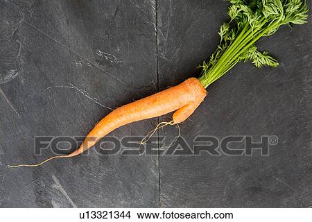 Still life of fresh misshapen carrot View Large Photo Image Picture - Still life of fresh misshapen carrot. Fotosearch