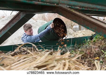 Teenage boy emptying garden waste into recycling bin View Large Photo Image Stock Photography - Teenage boy emptying garden waste into recycling bin. Fotosearch