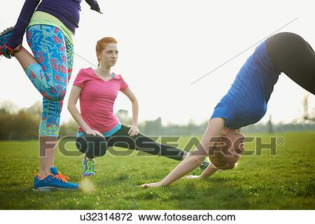Three women exercising and stretching in the park View Large Photo Image Stock Image - Three women exercising and stretching in the park. Fotosearch