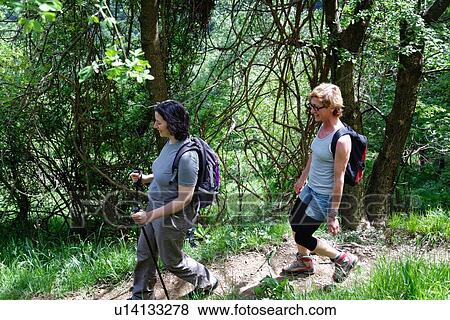 Two mature female hikers hiking along forest path View Large Photo Image Stock Photo - Two mature female hikers hiking along forest path. Fotosearch