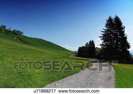View of dirt track and landscape, Lecco, Lombardy, Italy View Large Photo Image Stock Photo - View of dirt track and landscape, Lecco, Lombardy, Italy. Fotosearch