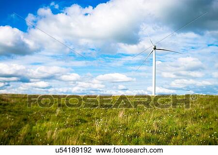 View of wind turbine in cotton grass field, UK View Large Photo Image Stock Image - View of wind turbine in cotton grass field, UK. Fotosearch