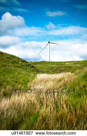 View of wind turbine in moorland field, UK View Large Photo Image Stock Photo - View of wind turbine in moorland field, UK. Fotosearch