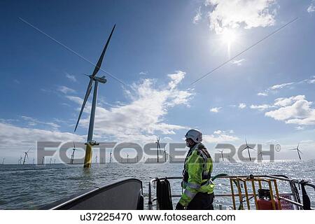 Stock Image - Worker looking out from ship to offshore wind farm. Fotosearch