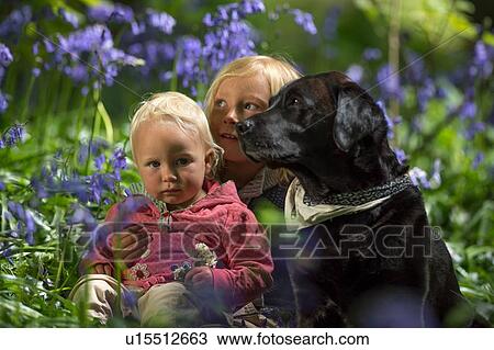 Stock Image - Young boy sitting with baby sister and dog in bluebell forest. Fotosearch