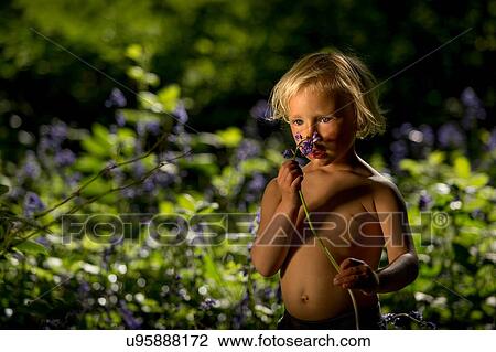 Stock Image - Young boy smelling bluebell in bluebell forest. Fotosearch