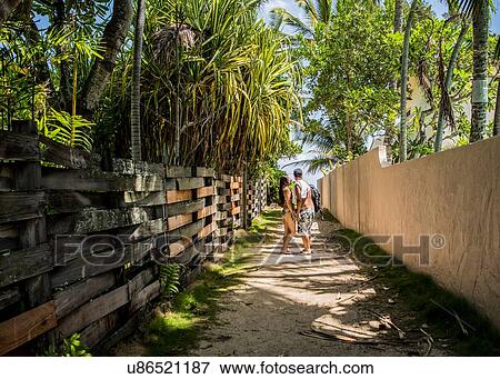 Young couple holding hands on path to Lanikai Beach, Oahu, Hawaii, USA View Large Photo Image Stock Photo - Young couple holding hands on path to Lanikai Beach, Oahu, Hawaii, USA. Fotosearch