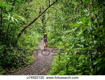 Young female tourist strolling in jungle, Manoa Falls, Oahu, Hawaii, USA View Large Photo Image Stock Image - Young female tourist strolling in jungle, Manoa Falls, Oahu, Hawaii, USA. Fotosearch