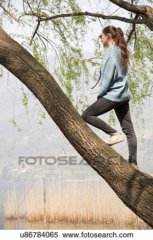 Young woman standing in tree looking out over lake Mergozzo, Verbania, Piemonte, Italy View Large Photo Image Stock Photography - Young woman standing in tree looking out over lake Mergozzo, Verbania, Piemonte, Italy. Fotosearch