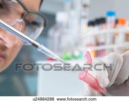Stock Photo - Close up of female scientist pippetting sample into eppendorf tube for analysis in laboratory. Fotosearch