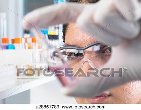 Stock Photo - Close up of female scientist trialing medical drug ampule in laboratory. Fotosearch