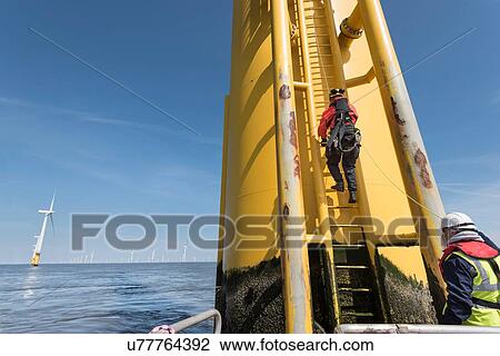 Engineers climbing wind turbine ladder from boat at offshore windfarm View Large Photo Image Stock Image - Engineers climbing wind turbine ladder from boat at offshore windfarm. Fotosearch