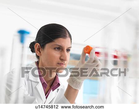 Female biologist in laboratory, holding a flask containing stem cells View Large Photo Image Stock Image - Female biologist in laboratory, holding a flask containing stem cells. Fotosearch