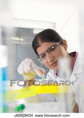 Female scientist examining chemical sample in lab View Large Photo Image Picture - Female scientist examining chemical sample in lab. Fotosearch