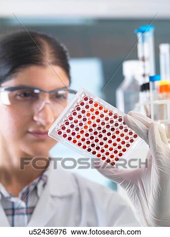 Stock Photograph - Female scientist examining micro plate blood samples in laboratory. Fotosearch