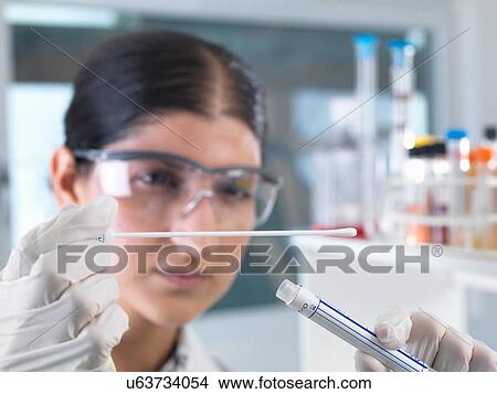 Female scientist extracting DNA sample swab for genetic tests in laboratory View Large Photo Image Picture - Female scientist extracting DNA sample swab for genetic tests in laboratory. Fotosearch