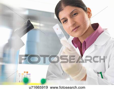 Female scientist in lab testing blood sample using microscope View Large Photo Image Stock Photo - Female scientist in lab testing blood sample using microscope. Fotosearch
