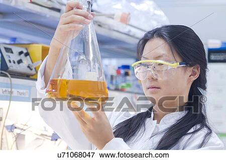 Stock Photo - Female scientist looking at erlenmayer flask yellow specimen in laboratory. Fotosearch