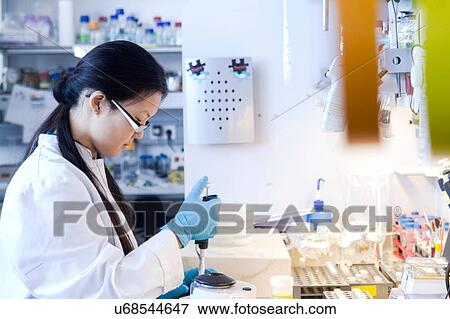 Stock Photo - Female scientist pipetting specimens in laboratory. Fotosearch