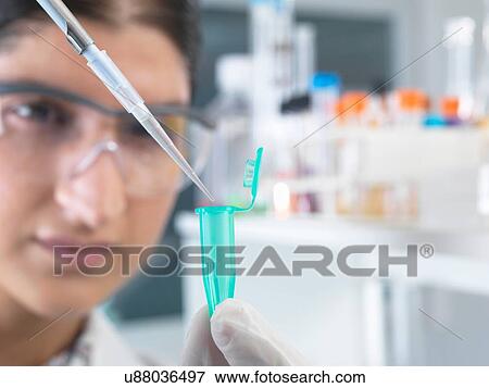 Stock Photo - Female scientist pippetting sample into eppendorf tube for analysis in laboratory. Fotosearch