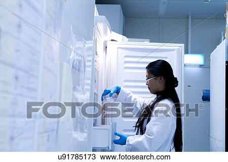 Female scientist selecting refrigerated sample in laboratory View Large Photo Image Stock Image - Female scientist selecting refrigerated sample in laboratory. Fotosearch