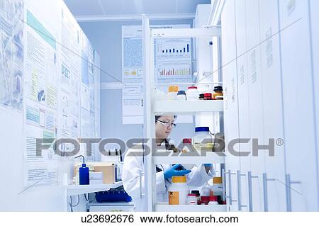 Stock Photograph - Female scientist selecting specimen jar from shelves in laboratory. Fotosearch