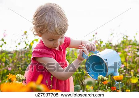 Female toddler emptying watering can in flower field View Large Photo Image Stock Photography - Female toddler emptying watering can in flower field. Fotosearch