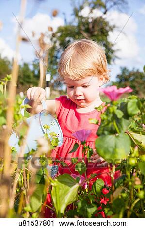 Female toddler watering flowers in flower field View Large Photo Image Stock Image - Female toddler watering flowers in flower field. Fotosearch