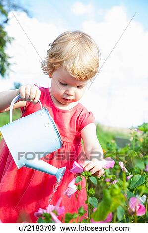 Stock Photo - Female toddler watering pink flowers in flower field. Fotosearch
