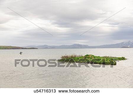 Fisherman fishing in lake, Thingvellir, Iceland View Large Photo Image Stock Image - Fisherman fishing in lake, Thingvellir, Iceland. Fotosearch