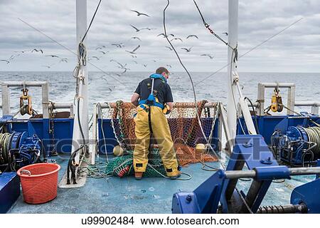 Fisherman inspecting trawl net on research ship View Large Photo Image Picture - Fisherman inspecting trawl net on research ship. Fotosearch