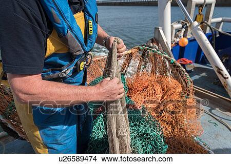 Fisherman preparing fishing net on research ship, close up View Large Photo Image Picture - Fisherman preparing fishing net on research ship, close up. Fotosearch