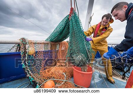 Fishermen and research scientist landing catch of fish on research ship View Large Photo Image Stock Photo - Fishermen and research scientist landing catch of fish on research ship. Fotosearch