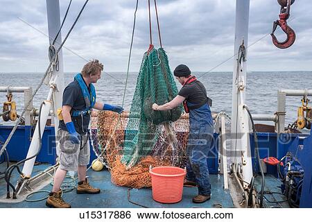 Stock Photograph - Fishermen and scientists bring in trawler net on deck of research ship. Fotosearch