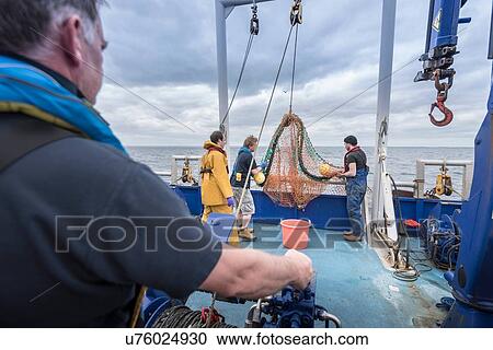 Fishermen and scientists pay out trawler net on research ship View Large Photo Image Stock Image - Fishermen and scientists pay out trawler net on research ship. Fotosearch