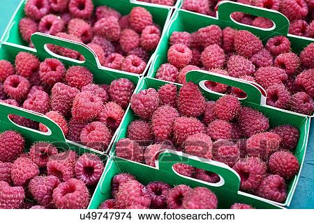 Fresh raspberries in boxes, full frame, close-up View Large Photo Image Picture - Fresh raspberries in boxes, full frame, close-up. Fotosearch