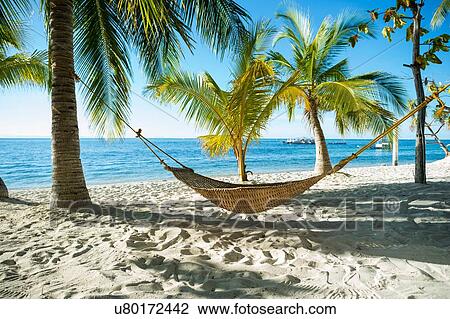 Hammock on tropical beach, Cebu, Philippines View Large Photo Image Stock Image - Hammock on tropical beach, Cebu, Philippines. Fotosearch