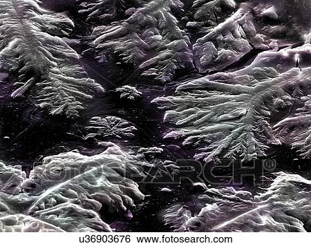 Stock Photograph - Human sadness teardrop imaged in a scanning electron microscope. Fotosearch