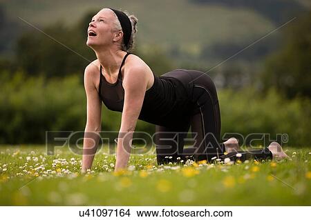 Mature woman practicing yoga cat pose in field View Large Photo Image Picture - Mature woman practicing yoga cat pose in field. Fotosearch