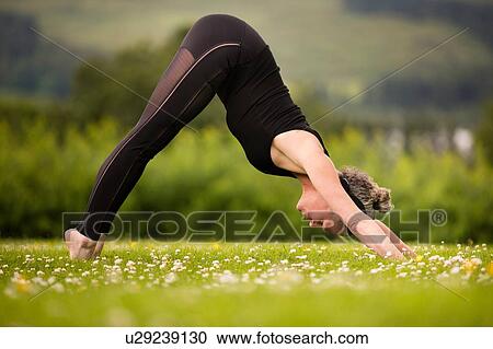Mature woman practicing yoga downward dog in field View Large Photo Image Stock Image - Mature woman practicing yoga downward dog in field. Fotosearch