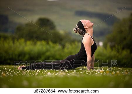 Mature woman practicing yoga upward dog in field View Large Photo Image Picture - Mature woman practicing yoga upward dog in field. Fotosearch