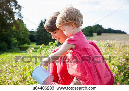 Mid adult mother and toddler daughter watering flowers in flower field View Large Photo Image Stock Image - Mid adult mother and toddler daughter watering flowers in flower field. Fotosearch