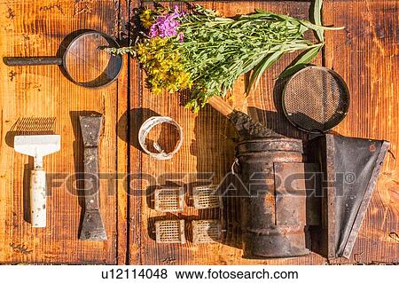 Overhead still life of wildflowers and rusty tools View Large Photo Image Stock Photo - Overhead still life of wildflowers and rusty tools. Fotosearch