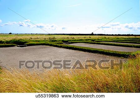 Stock Image - Oyster beds, Cite de l'Huitre, marennes, Poitou-Charentes, France. Fotosearch