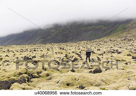 Stock Photograph - Rear view of boy looking out at misty mountains, Thingvellir, Iceland. Fotosearch