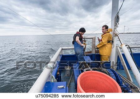 Research scientist and fisherman pay out trawl net on research ship View Large Photo Image Stock Photography - Research scientist and fisherman pay out trawl net on research ship. Fotosearch