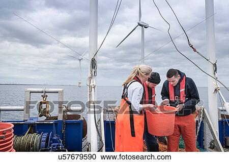 Stock Image - Research scientists and fisherman inspecting catch of fish on deck of research ship. Fotosearch