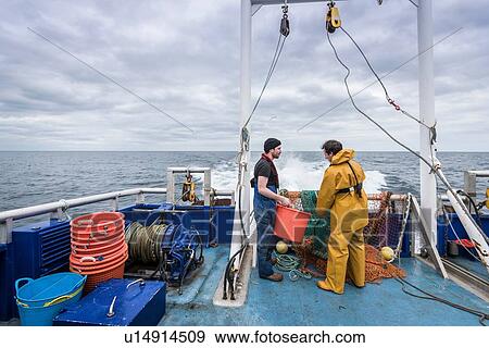 Research scientists and fisherman inspecting catch of fish on research ship View Large Photo Image Stock Photo - Research scientists and fisherman inspecting catch of fish on research ship. Fotosearch